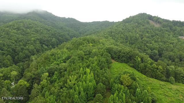 60 acres Wears Valley Rd