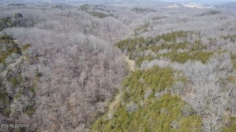 Tiny photo for Bear Creek Rd, Bybee, TN 37713 (MLS # 1333867)