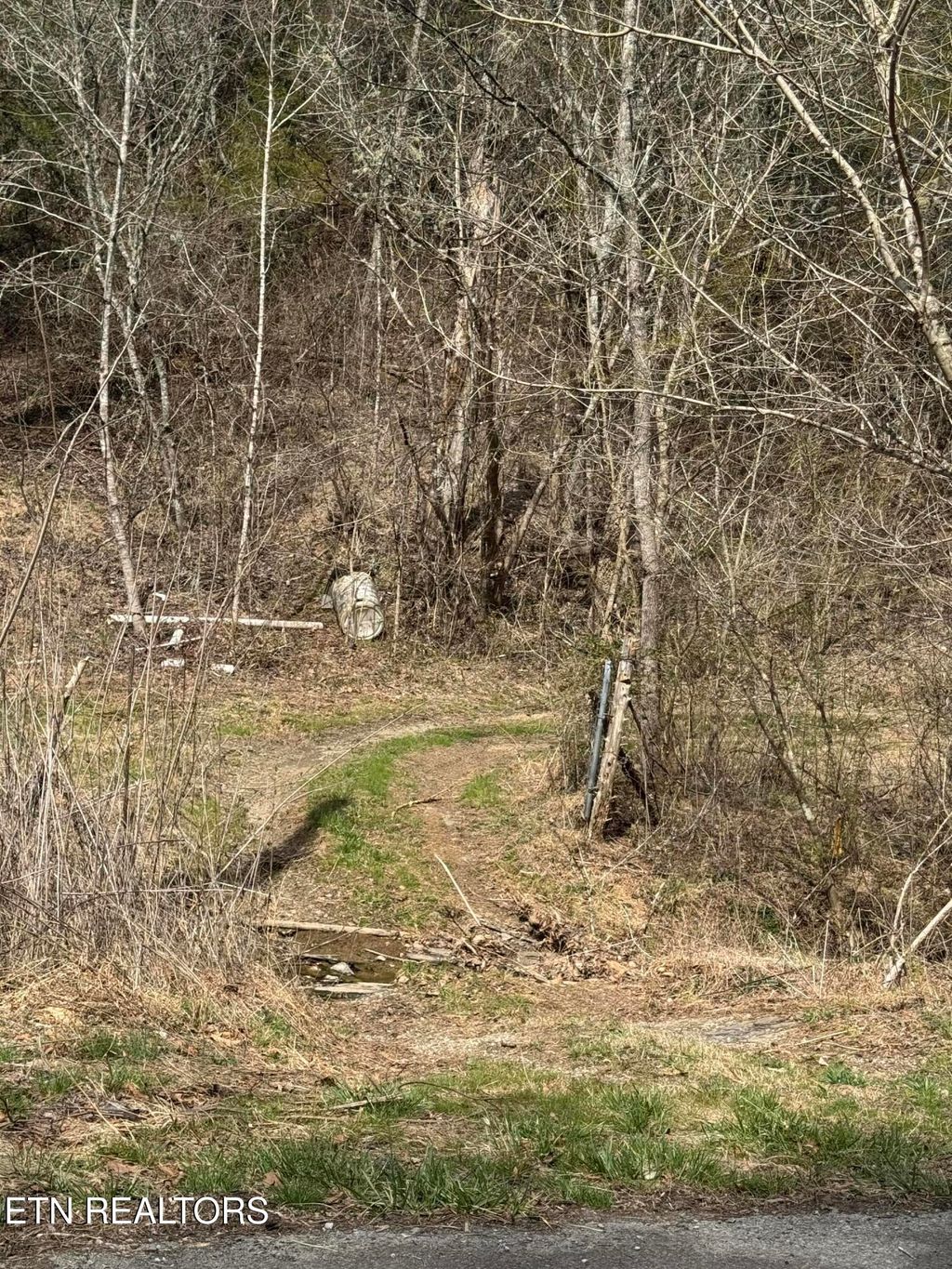 Photo of Bear Creek Rd, Bybee, TN 37713 (MLS # 1333867)