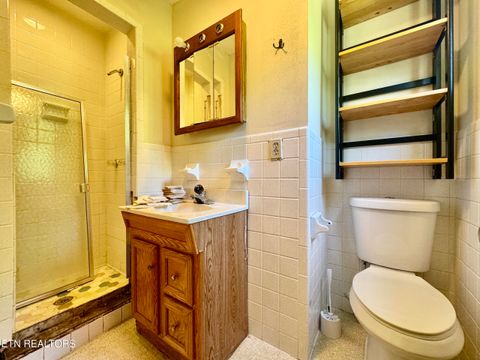Tiny photo for 132 Lanes Bluff Rd, Clinton, TN 37716 (MLS # 1341731)