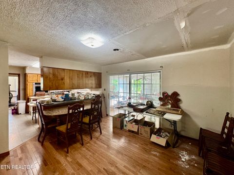 Tiny photo for 132 Lanes Bluff Rd, Clinton, TN 37716 (MLS # 1341731)