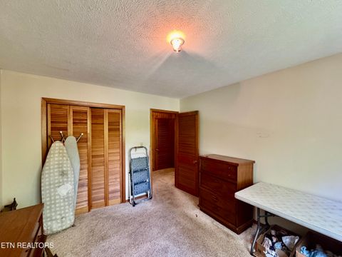 Tiny photo for 132 Lanes Bluff Rd, Clinton, TN 37716 (MLS # 1341731)