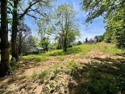 Tiny photo for 132 Lanes Bluff Rd, Clinton, TN 37716 (MLS # 1341731)