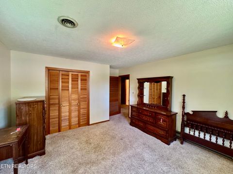Tiny photo for 132 Lanes Bluff Rd, Clinton, TN 37716 (MLS # 1341731)