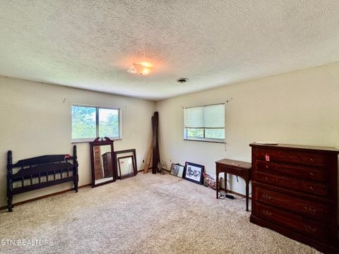 Tiny photo for 132 Lanes Bluff Rd, Clinton, TN 37716 (MLS # 1341731)