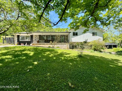 Tiny photo for 132 Lanes Bluff Rd, Clinton, TN 37716 (MLS # 1341731)