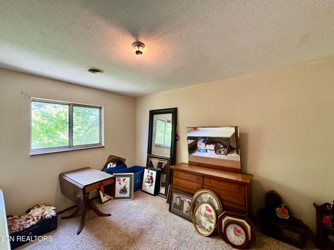 Tiny photo for 132 Lanes Bluff Rd, Clinton, TN 37716 (MLS # 1341731)