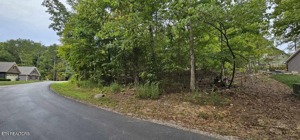Photo of 348 Dudala Way, Loudon, TN 37774 (MLS # 1355113)