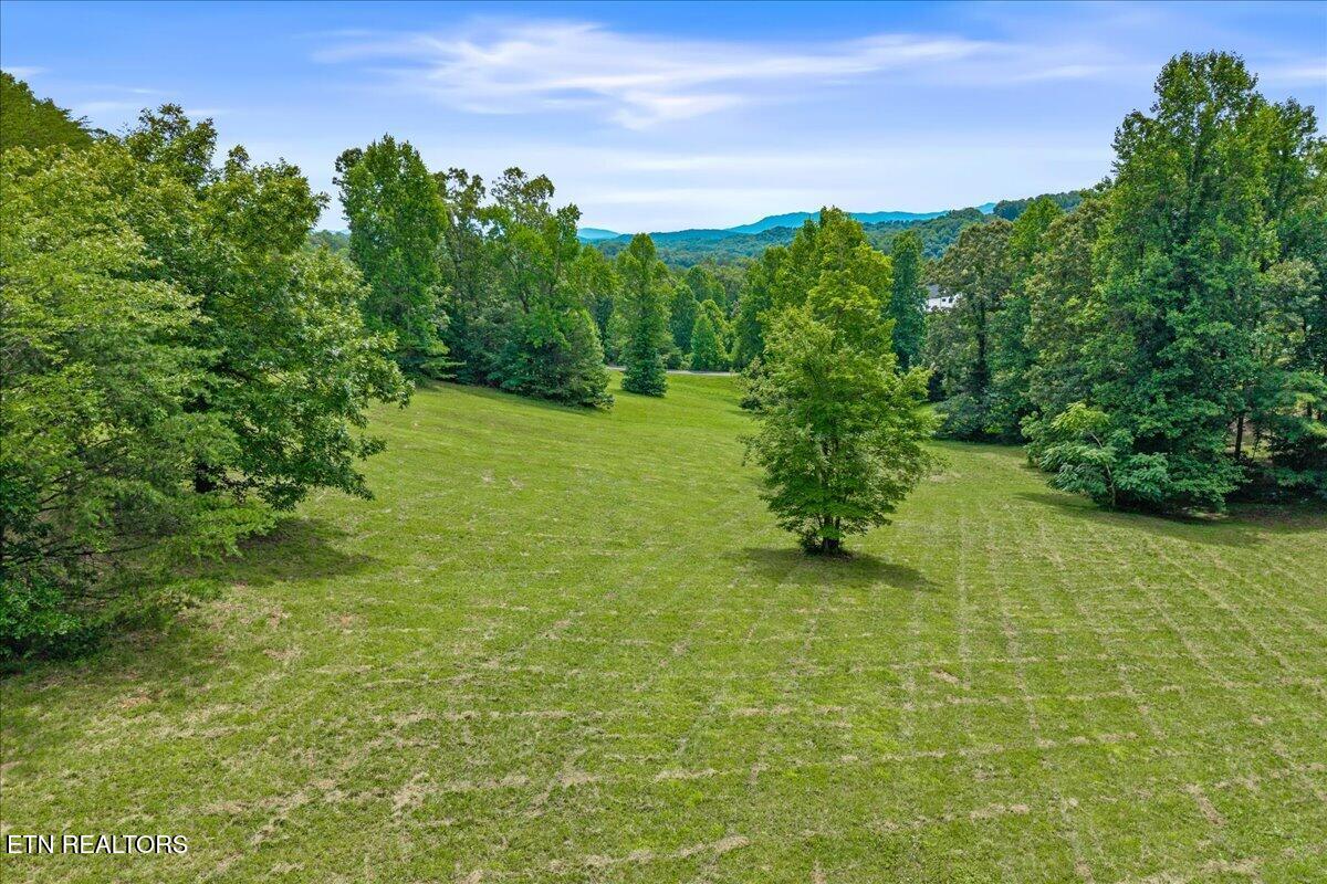 Springwater Run lot 34