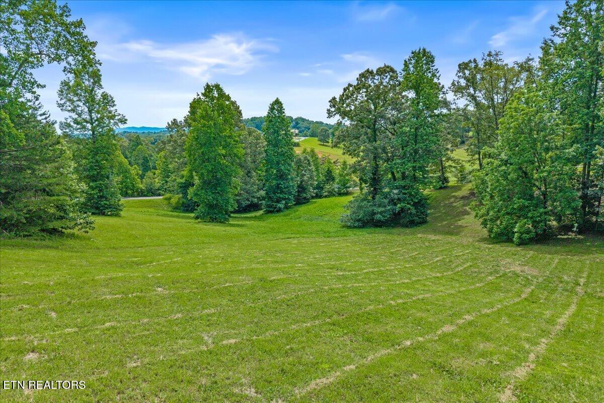Springwater Run lot 34