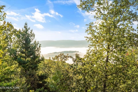 Tiny photo for 1007 Green Ridge Tr, Harriman, TN 37748 (MLS # 1359237)