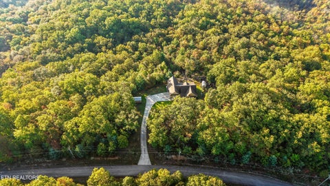 Tiny photo for 1007 Green Ridge Tr, Harriman, TN 37748 (MLS # 1359237)