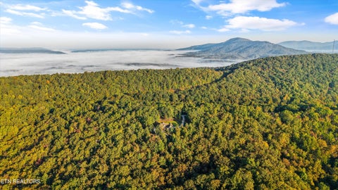 Tiny photo for 1007 Green Ridge Tr, Harriman, TN 37748 (MLS # 1359237)