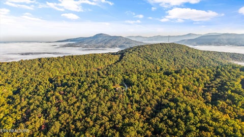 Tiny photo for 1007 Green Ridge Tr, Harriman, TN 37748 (MLS # 1359237)