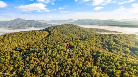 Tiny photo for 1007 Green Ridge Tr, Harriman, TN 37748 (MLS # 1359237)