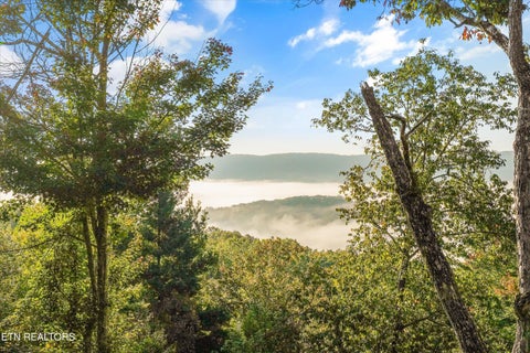 Tiny photo for 1007 Green Ridge Tr, Harriman, TN 37748 (MLS # 1359237)
