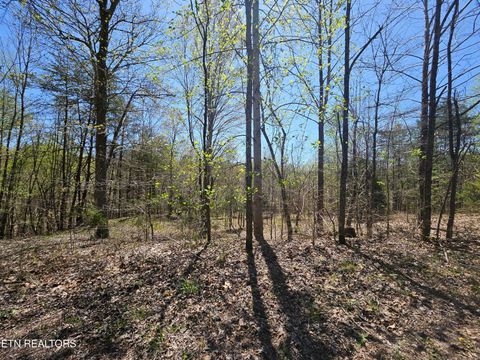 Tiny photo for 170 Bluff View Rd, New Tazewell, TN 37825 (MLS # 1296608)