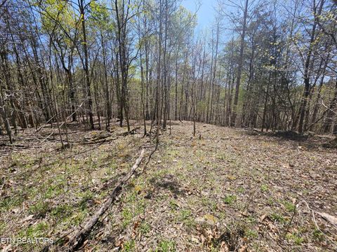 Tiny photo for 170 Bluff View Rd, New Tazewell, TN 37825 (MLS # 1296608)