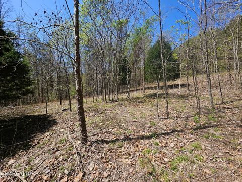 Tiny photo for 170 Bluff View Rd, New Tazewell, TN 37825 (MLS # 1296608)