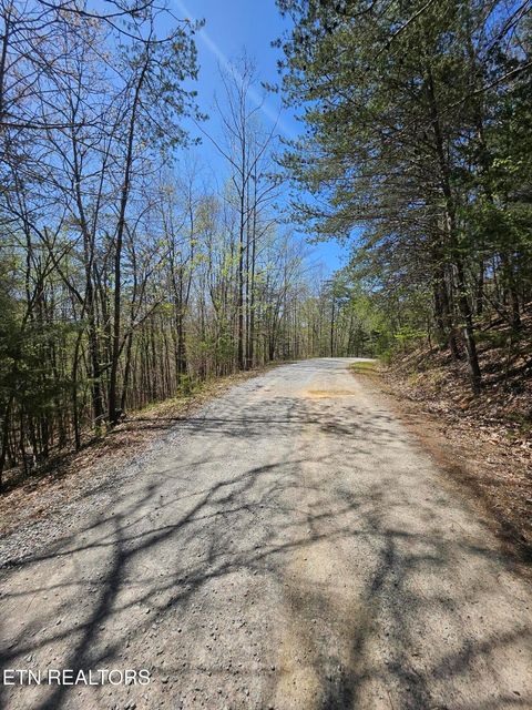 Tiny photo for 170 Bluff View Rd, New Tazewell, TN 37825 (MLS # 1296608)