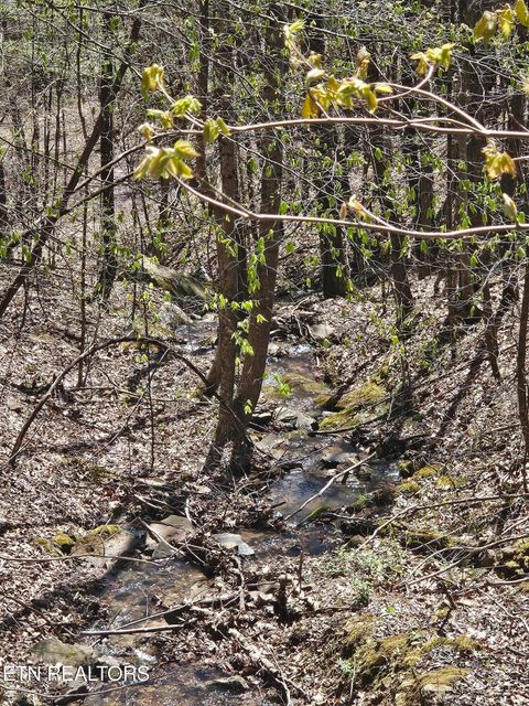 Tiny photo for 170 Bluff View Rd, New Tazewell, TN 37825 (MLS # 1296608)