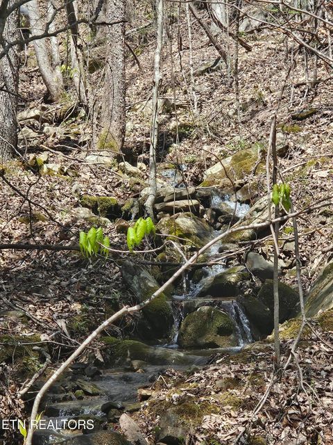 Tiny photo for 170 Bluff View Rd, New Tazewell, TN 37825 (MLS # 1296608)