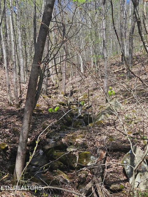 Tiny photo for 170 Bluff View Rd, New Tazewell, TN 37825 (MLS # 1296608)