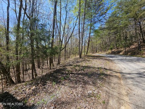 Tiny photo for 170 Bluff View Rd, New Tazewell, TN 37825 (MLS # 1296608)