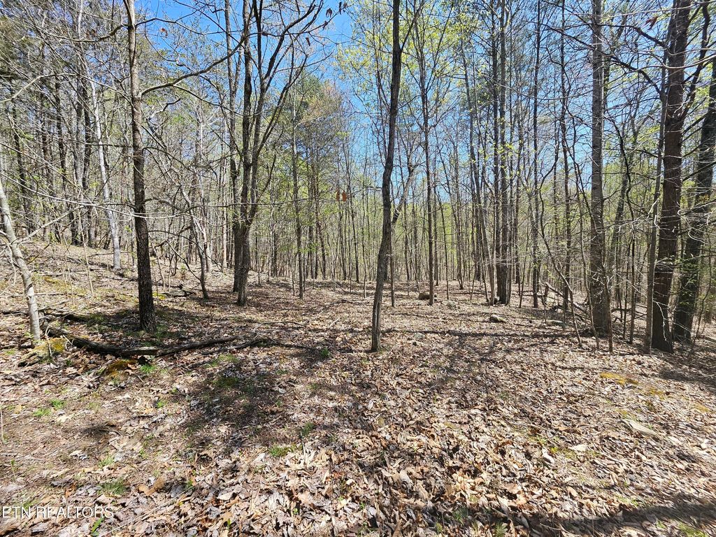 Photo of 170 Bluff View Rd, New Tazewell, TN 37825 (MLS # 1296608)