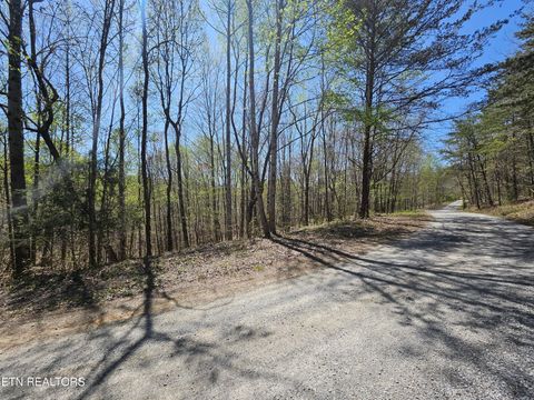 Tiny photo for 170 Bluff View Rd, New Tazewell, TN 37825 (MLS # 1296608)