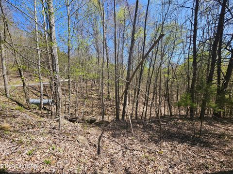 Tiny photo for 170 Bluff View Rd, New Tazewell, TN 37825 (MLS # 1296608)