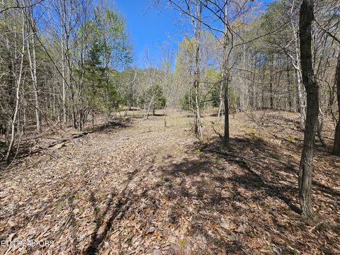 Tiny photo for 170 Bluff View Rd, New Tazewell, TN 37825 (MLS # 1296608)