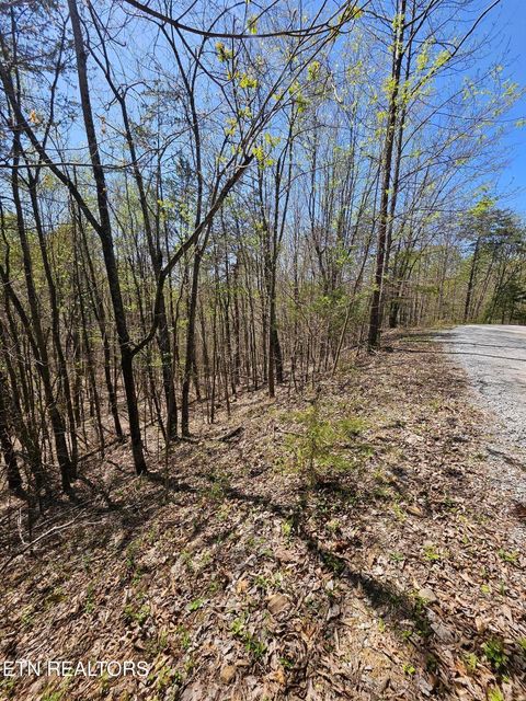 Tiny photo for 170 Bluff View Rd, New Tazewell, TN 37825 (MLS # 1296608)
