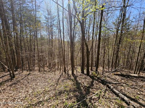 Tiny photo for 170 Bluff View Rd, New Tazewell, TN 37825 (MLS # 1296608)