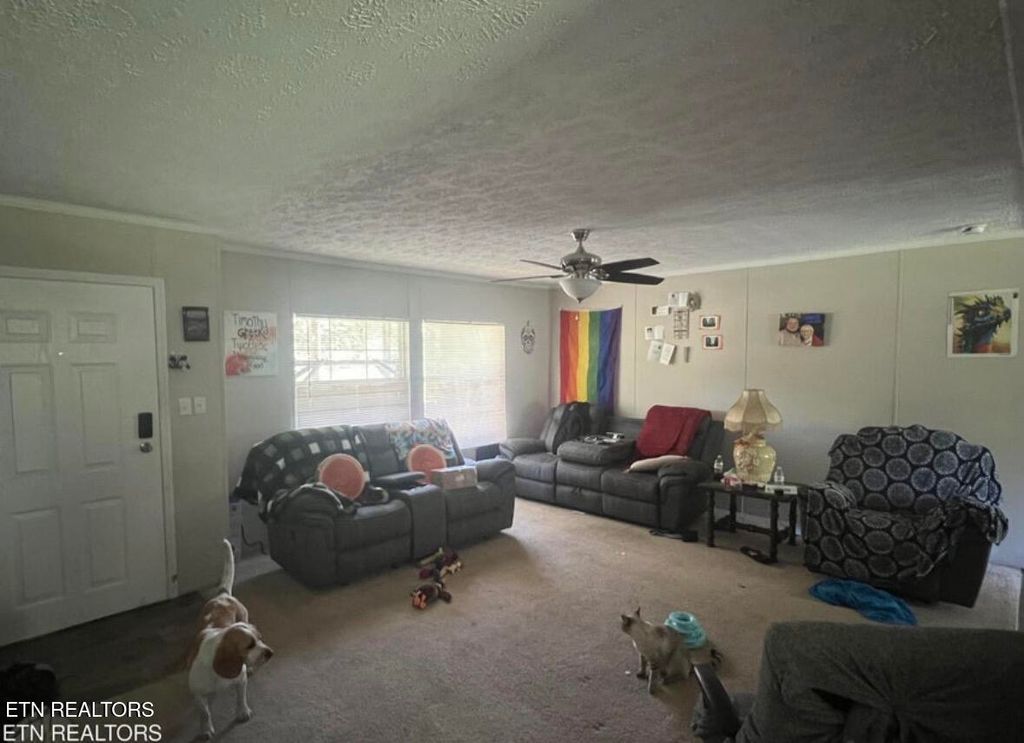 Photo of 306 Honeycutt Rd, Oneida, TN 37841 (MLS # 1324468)