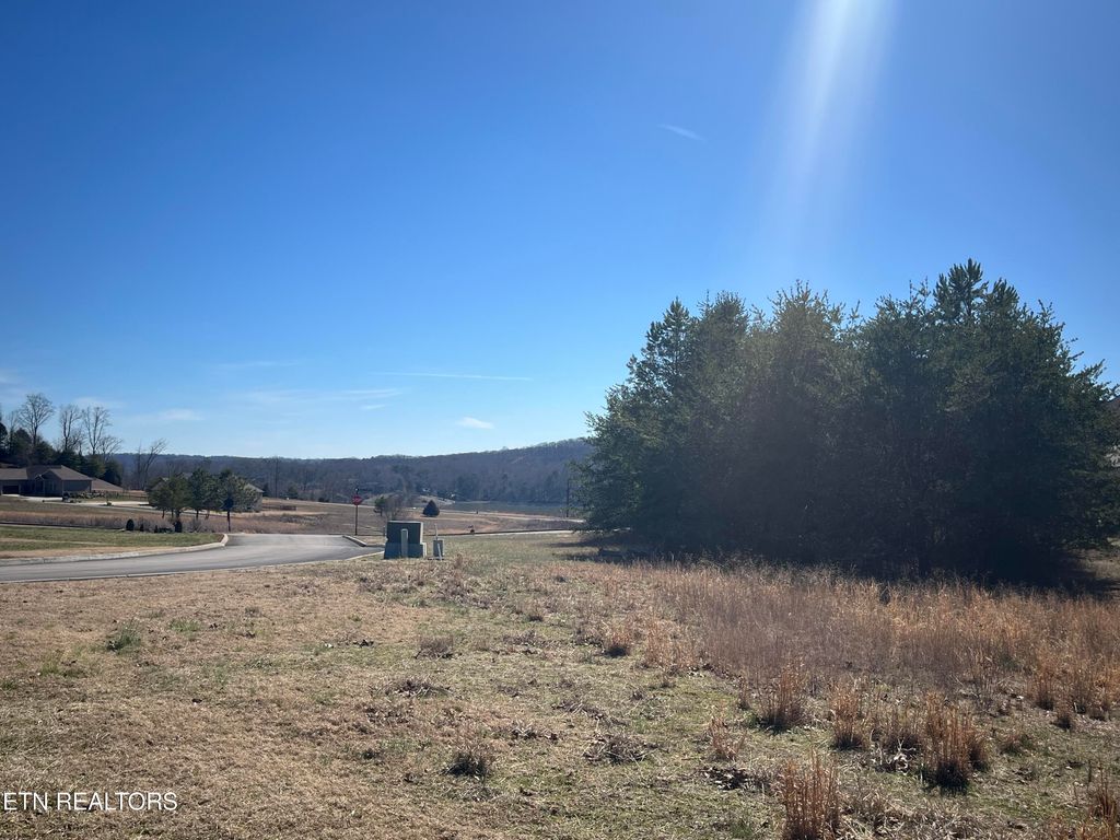 Photo of 101 Meadow Lane, Harriman, TN 37748 (MLS # 1291128)