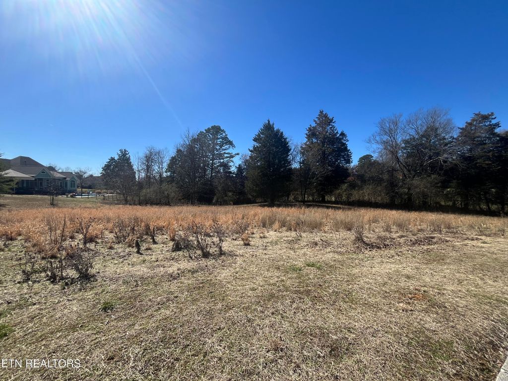 Photo of 101 Meadow Lane, Harriman, TN 37748 (MLS # 1291128)