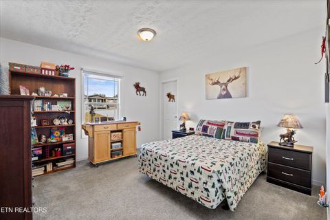 Tiny photo for 535 Conley Trail Tr, Dandridge, TN 37725 (MLS # 1318773)