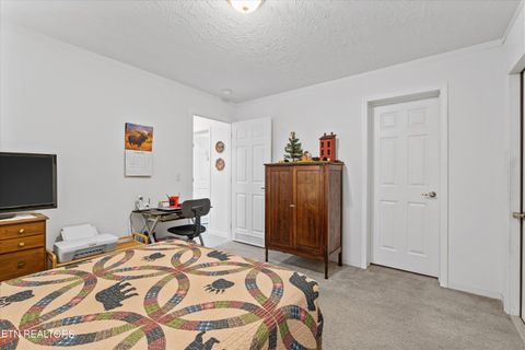 Tiny photo for 535 Conley Trail Tr, Dandridge, TN 37725 (MLS # 1318773)