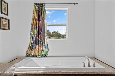 Tiny photo for 535 Conley Trail Tr, Dandridge, TN 37725 (MLS # 1318773)