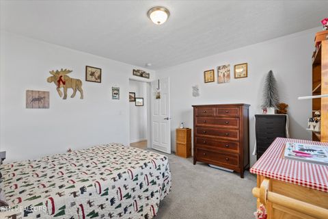 Tiny photo for 535 Conley Trail Tr, Dandridge, TN 37725 (MLS # 1318773)