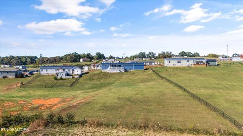 Tiny photo for 535 Conley Trail Tr, Dandridge, TN 37725 (MLS # 1318773)