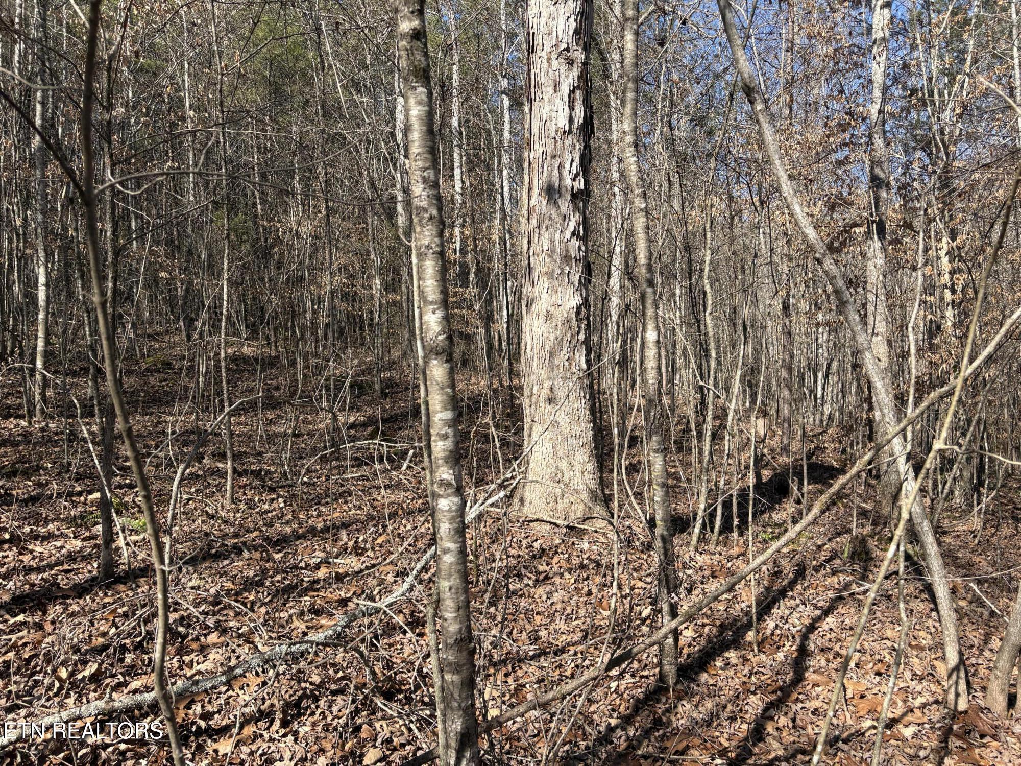 0 Big Creek Rd