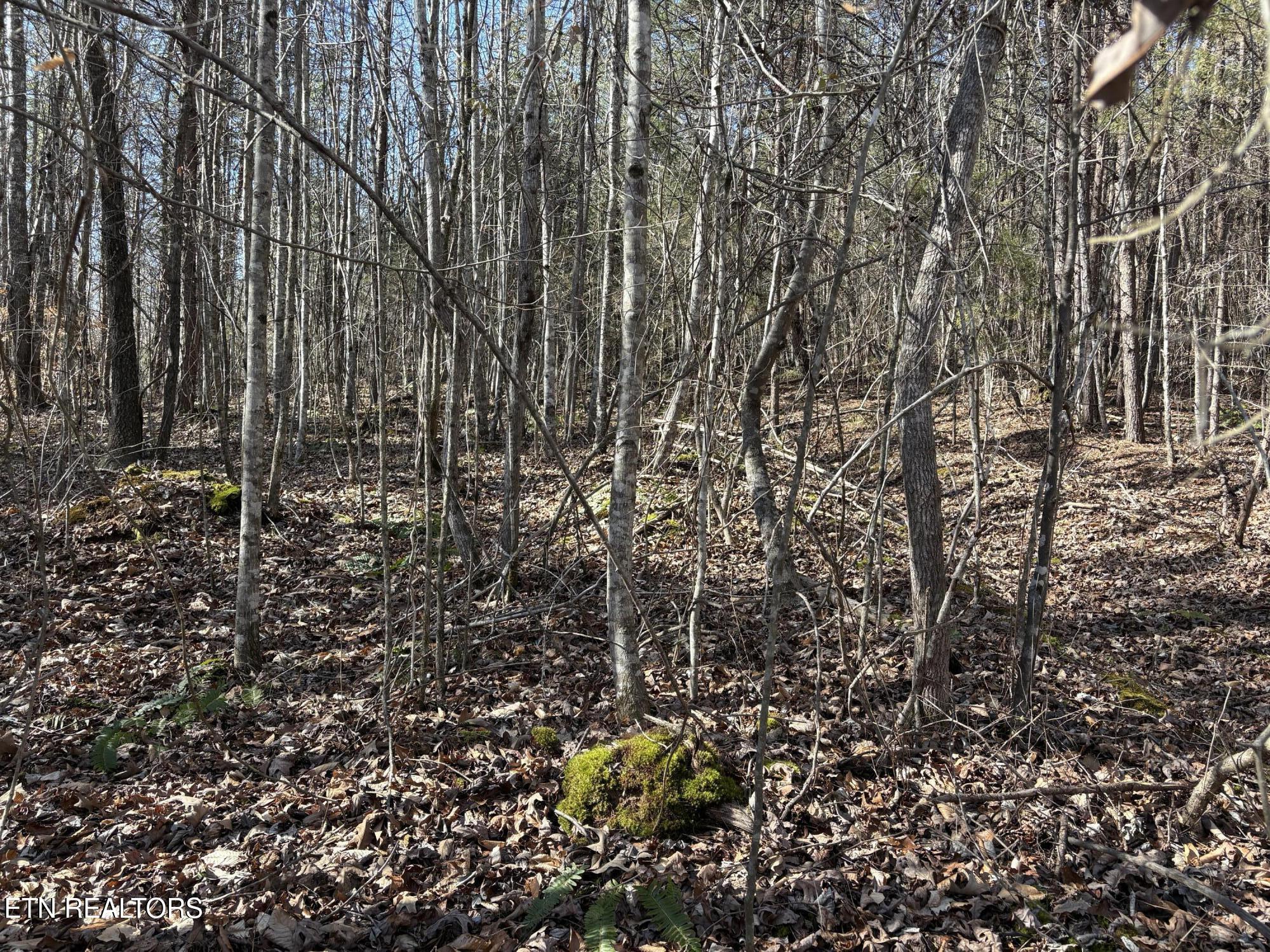 0 Big Creek Rd
