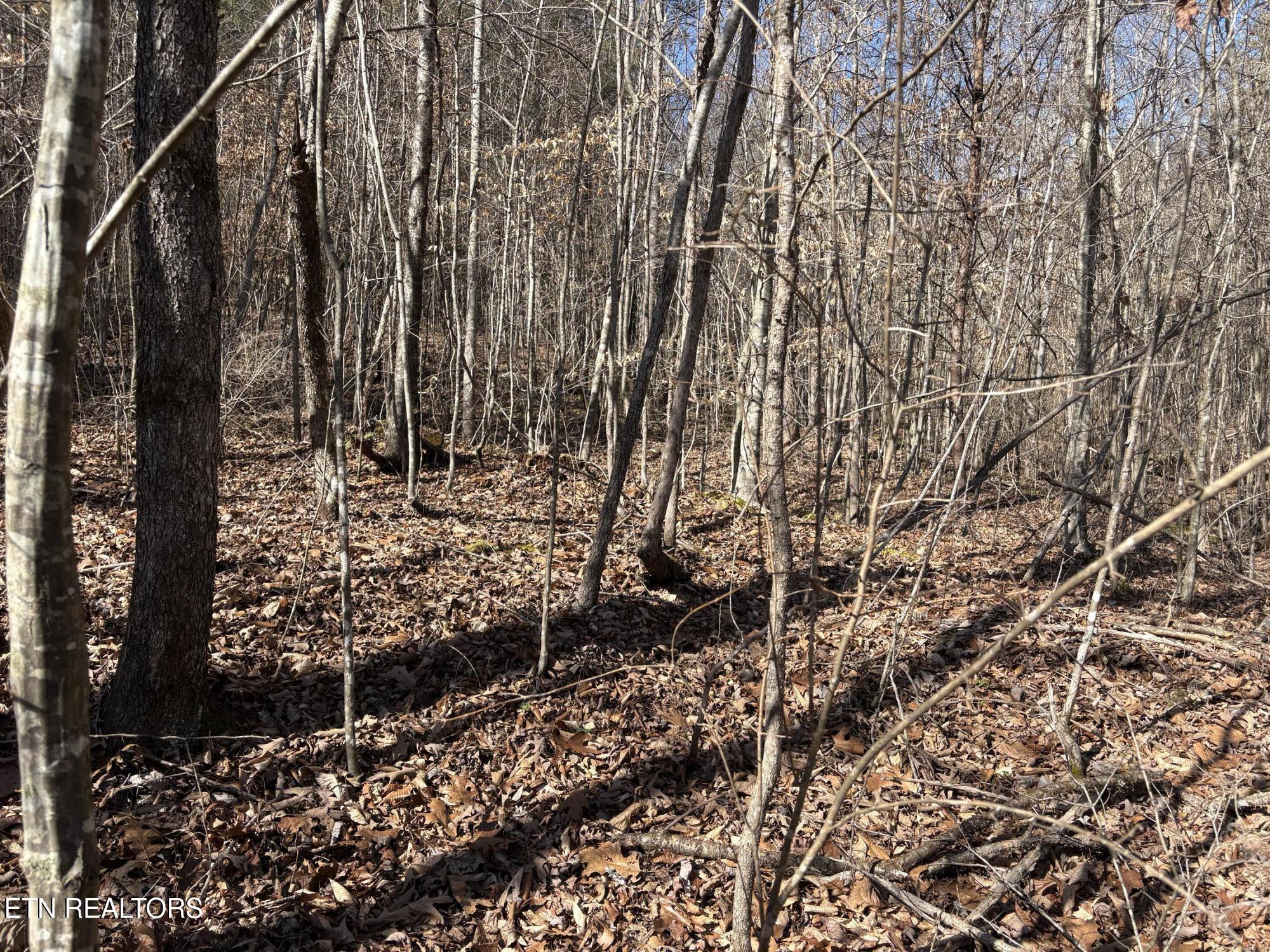 0 Big Creek Rd