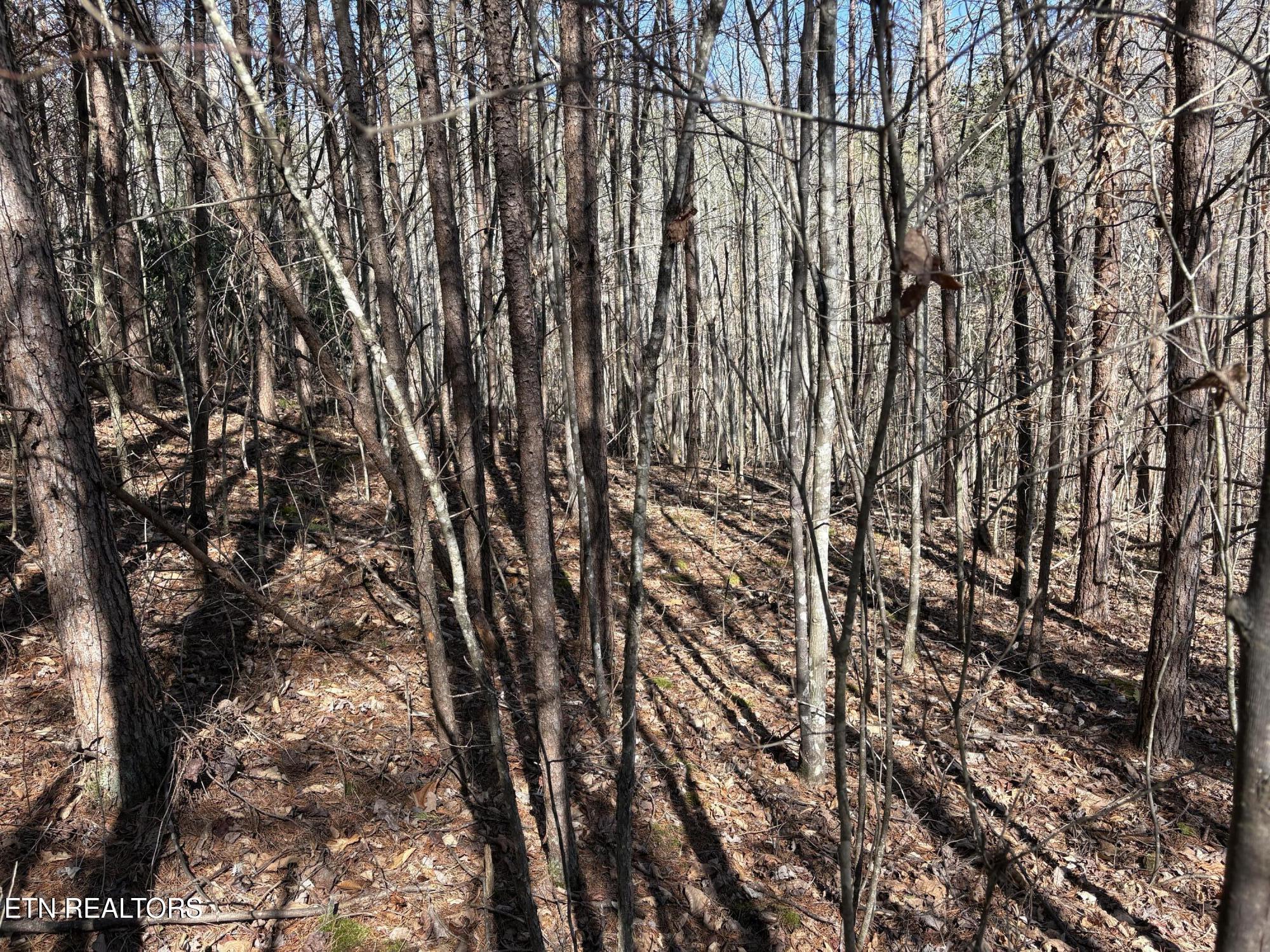 0 Big Creek Rd
