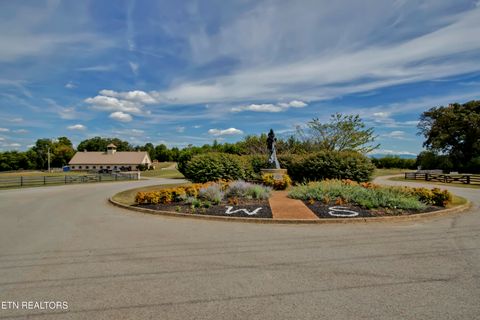 Tiny photo for 380 Morning Dove Drive, Vonore, TN 37885 (MLS # 1320160)