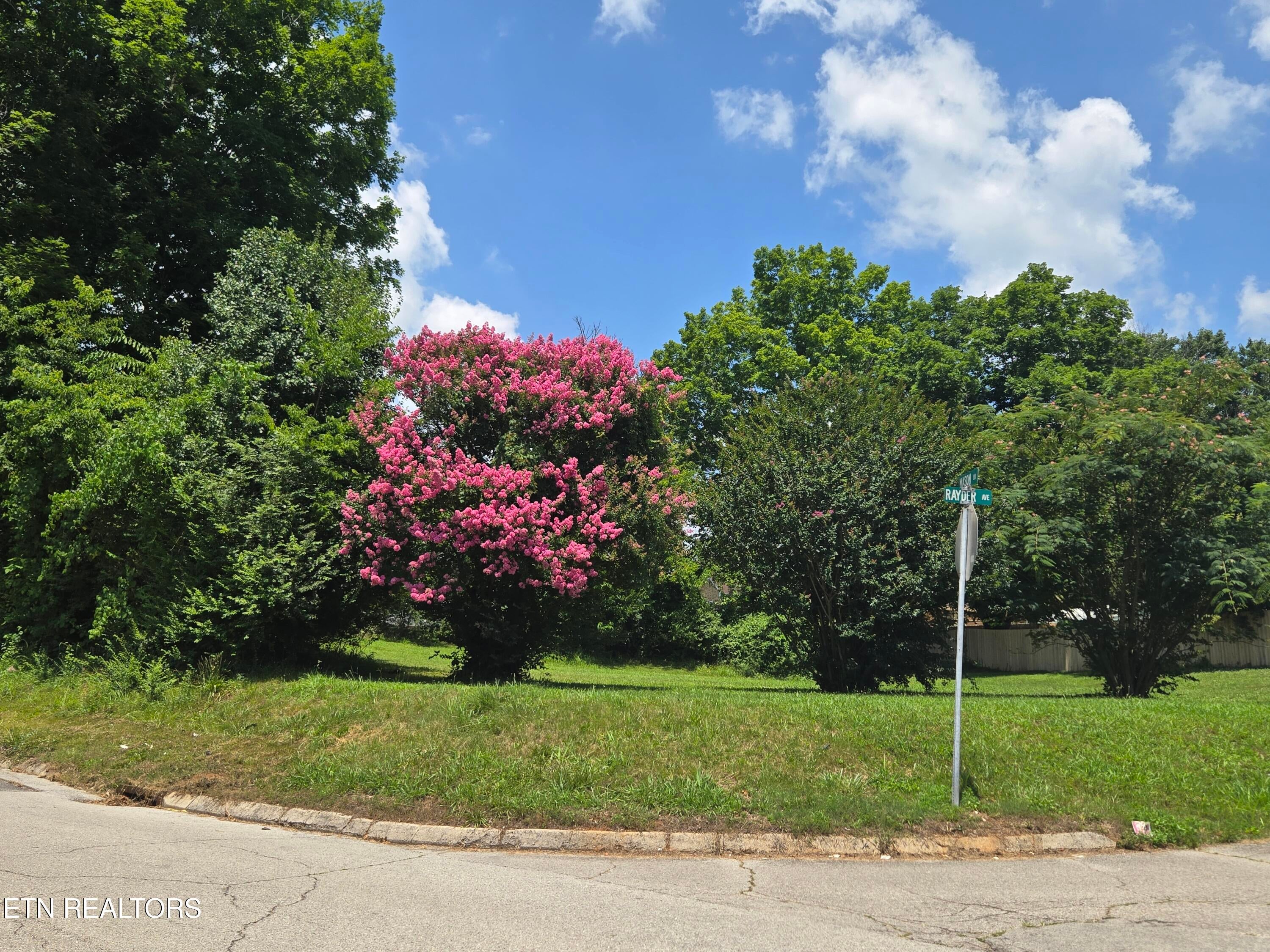 Rayder Ave - Photo 3