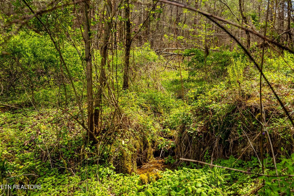 Photo of 1700 Rafter Rd, Tellico Plains, TN 37385 (MLS # 1335876)