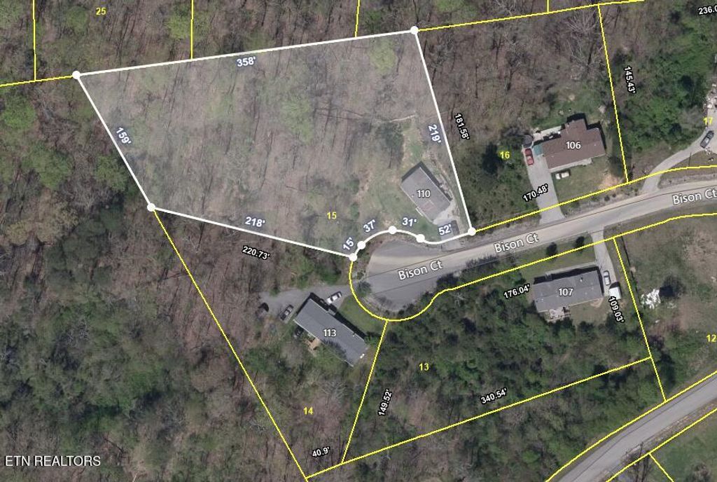 Photo of 110 Bison Court, Powell, TN 37849 (MLS # 1310529)